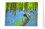 Bicycle in spring forest by Assaf Frank